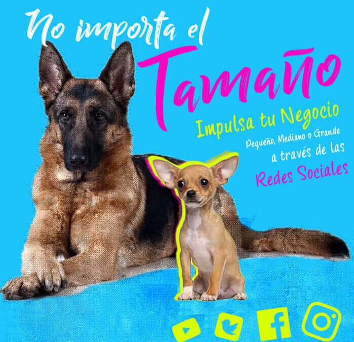 Posts Redes – Varios