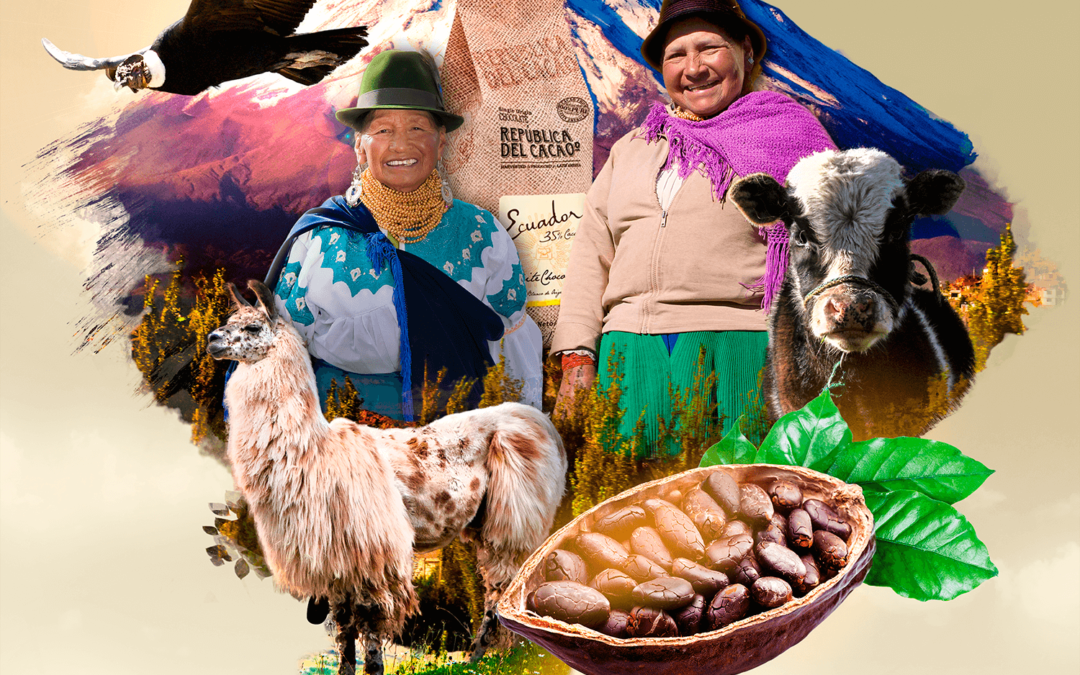 Turucucho Cayambe Project – República del Cacao